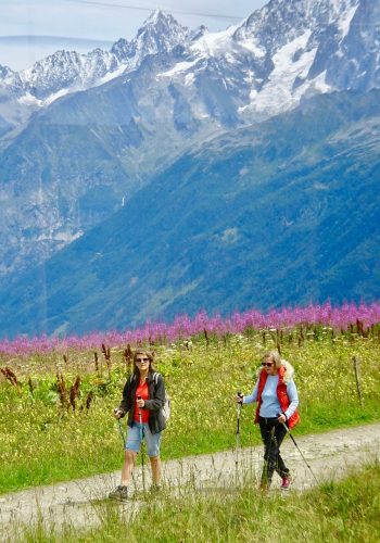 hiking, hikers, alps-3367453.jpg