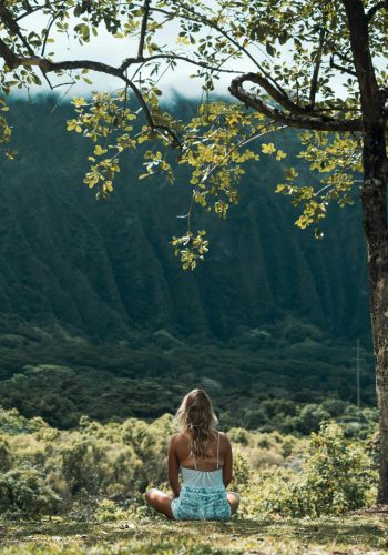 pexels-alohaphotostudio-5694121 pexels-alohaphotostudio-5694121